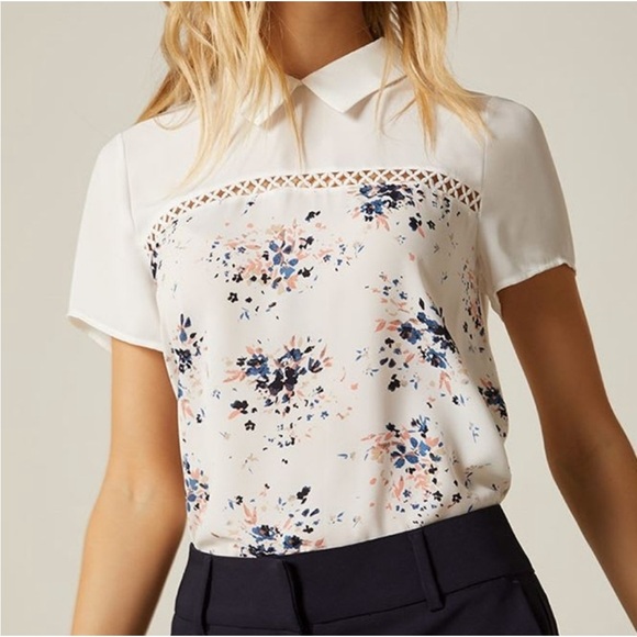 RW&CO. White and Pink Polo Collar Blouse with Eyelet Detail - Picture 1 of 5